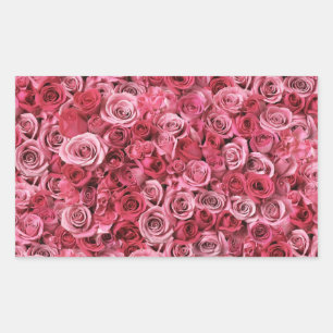 Beautiful Pink Roses Rectangular Sticker