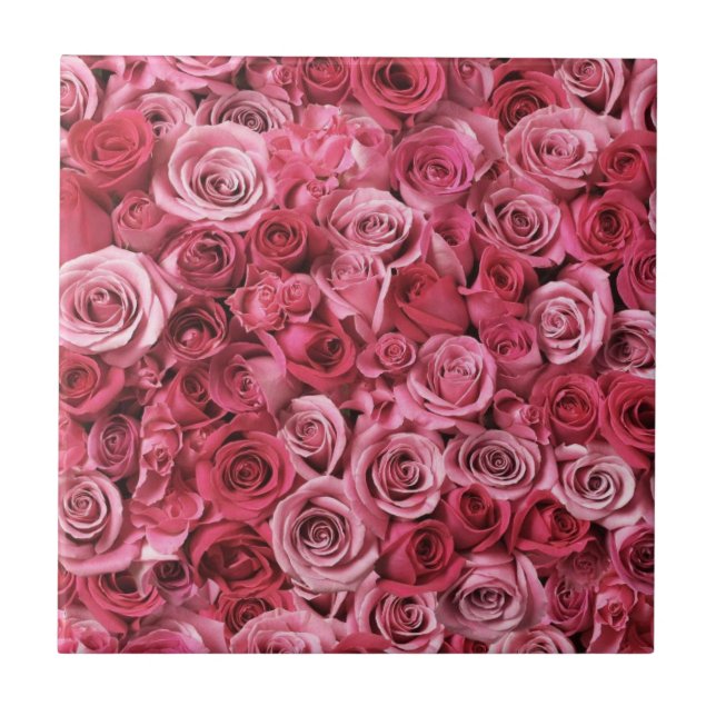 Beautiful Pink Roses Tile (Front)