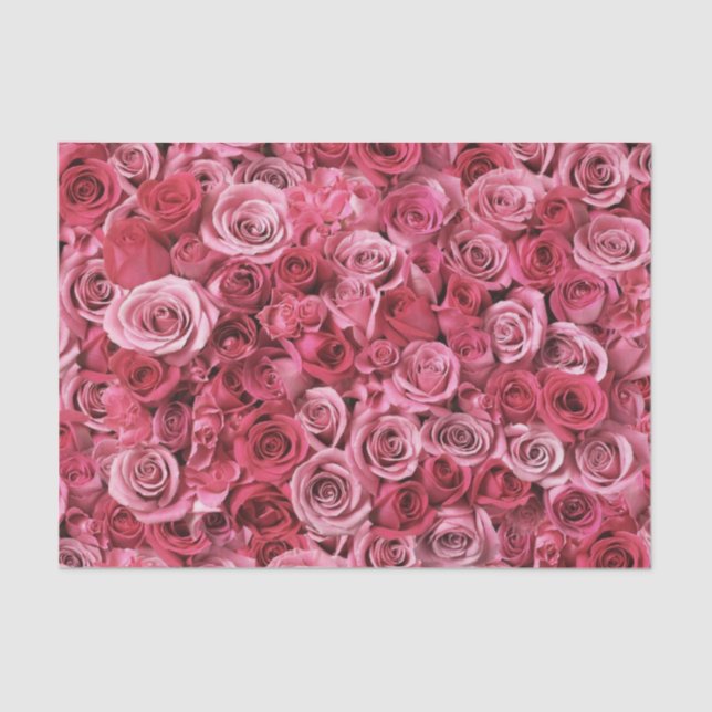Beautiful Pink Roses Tissue Paper (Front)