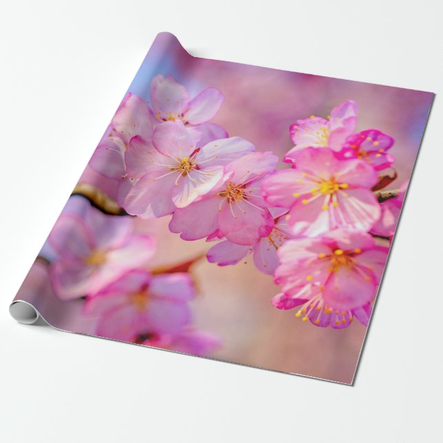 Beautiful Pink Sakura Flowers In Spring Wrapping Paper (Unrolled)