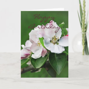 Beautiful Pink Spring Blossoms Happy Birthday Card