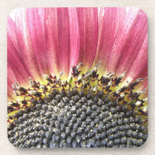 Beautiful Pink Sunflower Cork Coaster