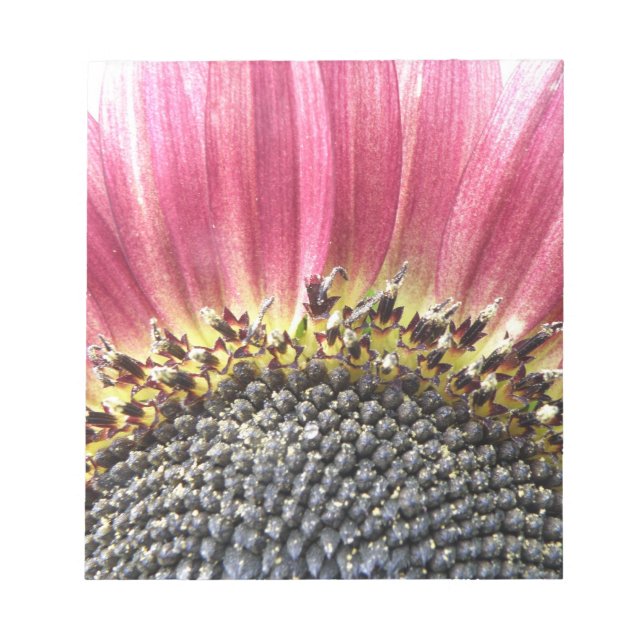 Beautiful Pink Sunflower Notepad (Front)
