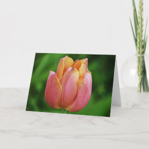 Beautiful Pink Tulip Art Note Card