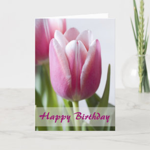 Beautiful Pink Tulip, Happy Birthday Card