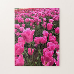 Beautiful Pink Tulips, Oregon Jigsaw Puzzle