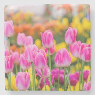 Beautiful Pink Tulips Stone Coaster