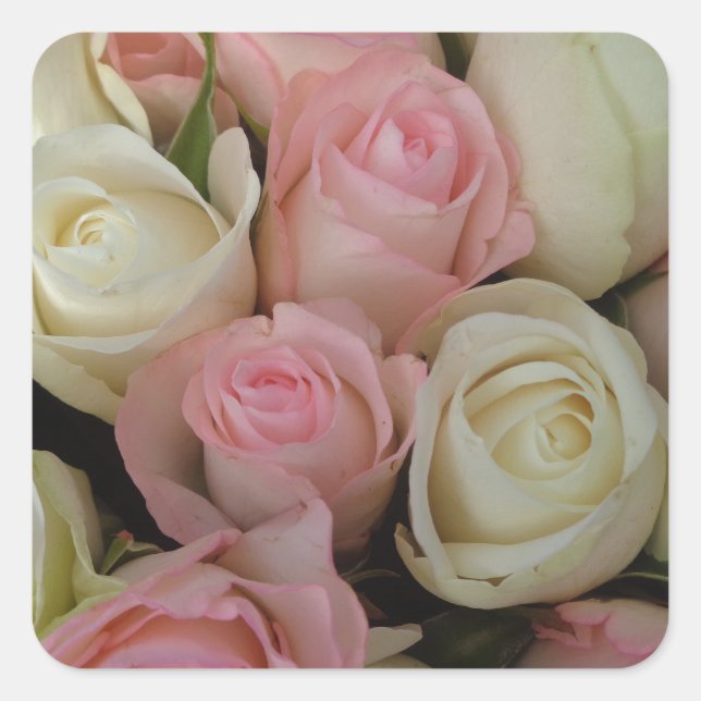 Beautiful Pink White Roses Flower Bouquet Square Sticker (Front)