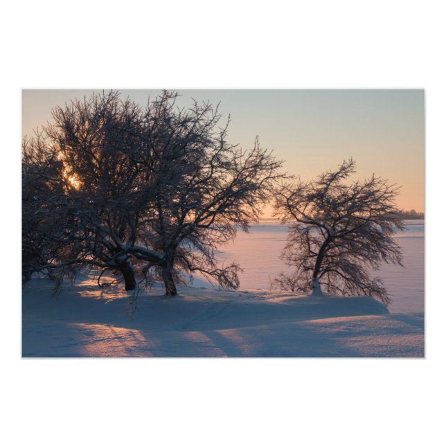 Beautiful pink winter sunset in Finland CC0829 Photo Print (Front)