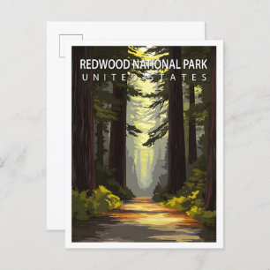 Beautiful Place Redwood National Park USA Travel Postcard
