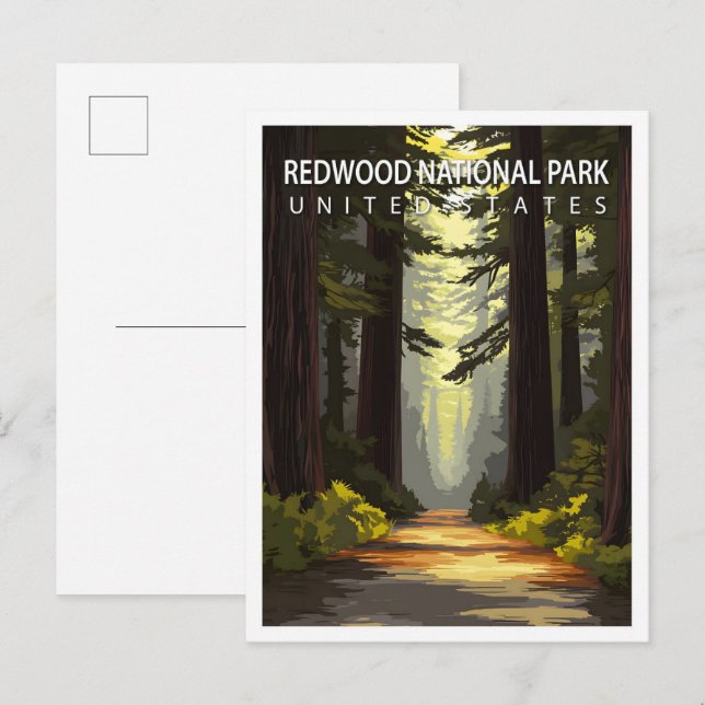 Beautiful Place Redwood National Park USA Travel Postcard (Front/Back)