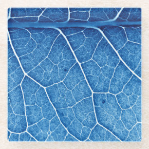 Beautiful Plant Closeup Texture Background Glass Coaster