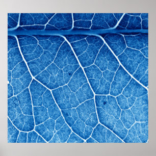 Beautiful Plant Closeup Texture Background Poster