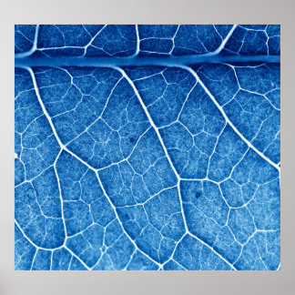 Beautiful Plant Closeup Texture Background Poster