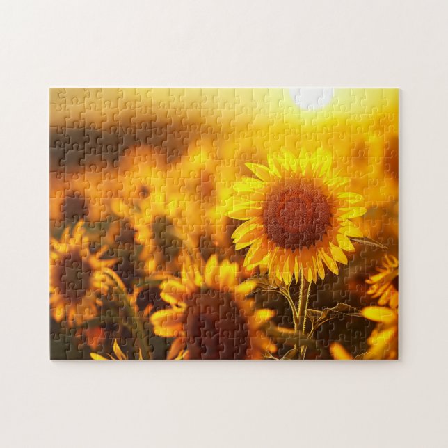 beautiful plant flower sunflower at sunset  jigsaw puzzle (Horizontal)