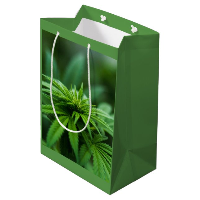 Beautiful Plant Medium Gift Bag (Back Angled)