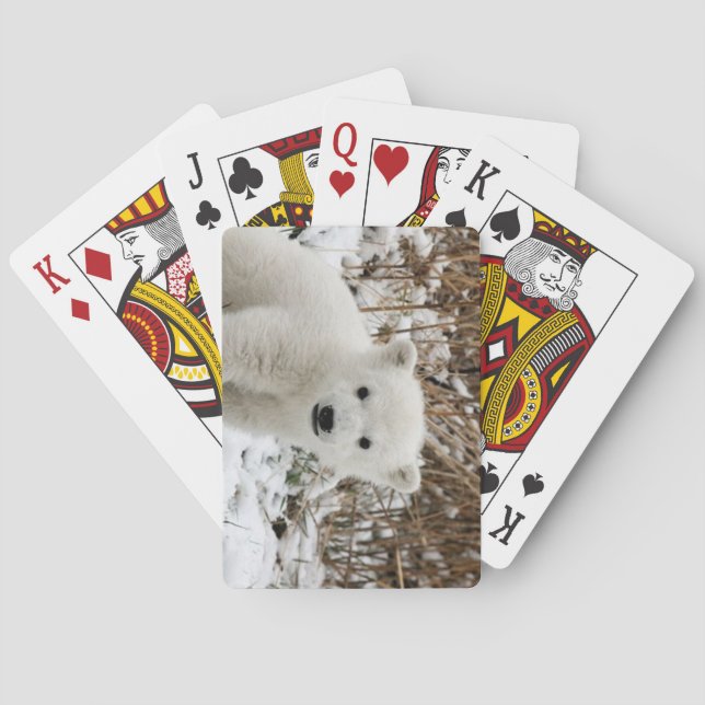 Beautiful Polar Bear Cub Playing Cards (Back)