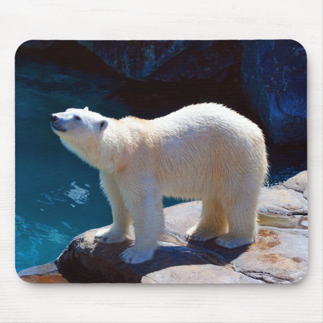 Beautiful Polar Bear Mouse Pad (Front)