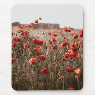 beautiful poppy flowers mouse mat