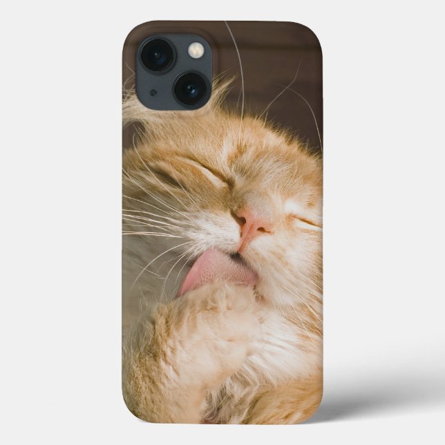 Beautiful Preening Maine Coon Cat Close-Up Photo Case-Mate iPhone Case (Back)
