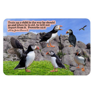 Beautiful Puffin Scripture  Magnet  Proverbs 22:6