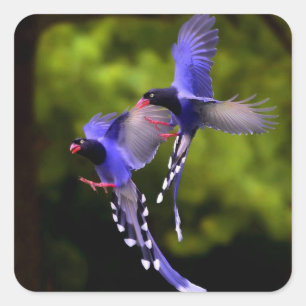 Beautiful Purple Birds in Flight Sticker Set