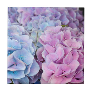 Beautiful Purple, Blue, Pink Hydrangea Flowers Tile