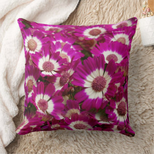 Beautiful Purple Cineraria Flowers Cushion