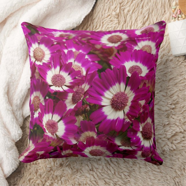Beautiful Purple Cineraria Flowers Cushion (Blanket)
