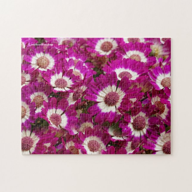 Beautiful Purple Cineraria Flowers Jigsaw Puzzle (Horizontal)