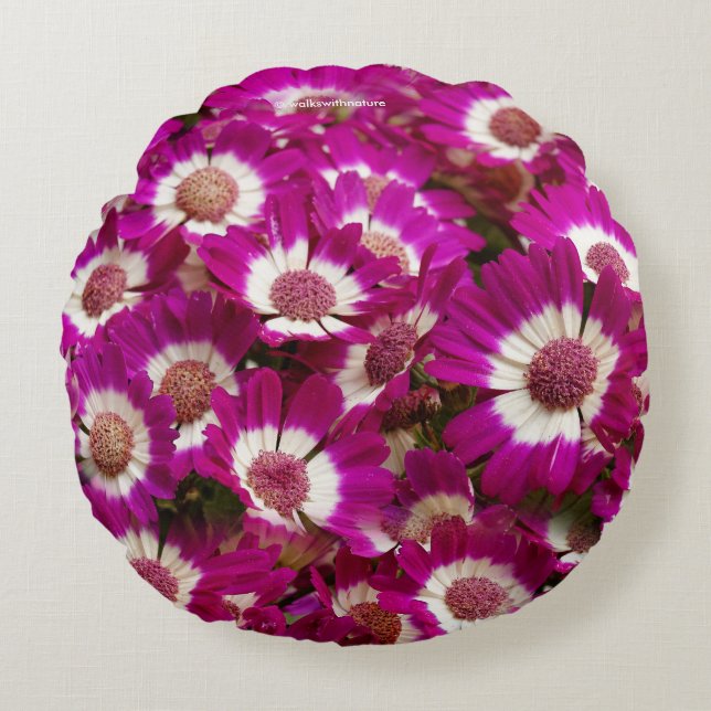 Beautiful Purple Cineraria Flowers Round Cushion (Front)