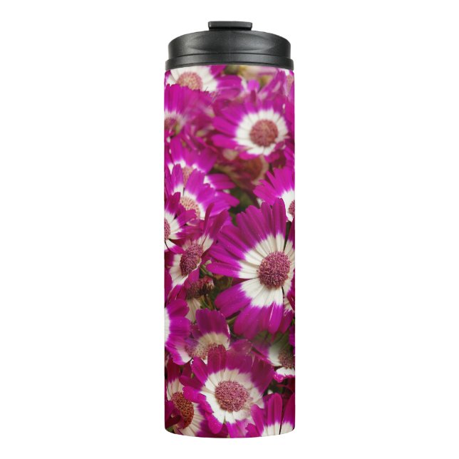 Beautiful Purple Cineraria Flowers Thermal Tumbler (Front)