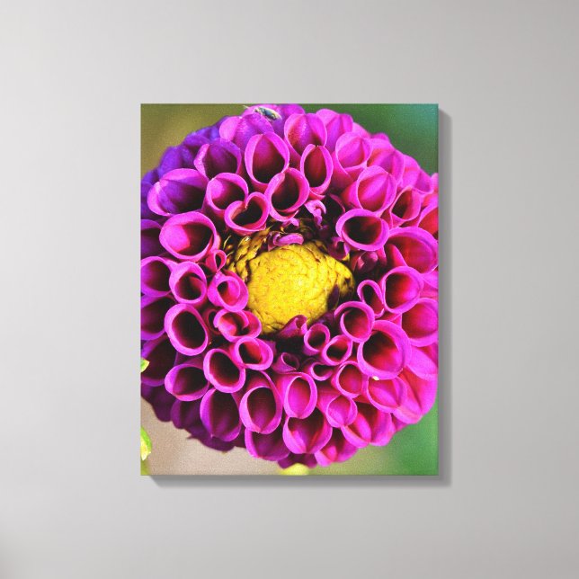 Beautiful Purple Dalia Flower Macrophotography Canvas Print (Front)