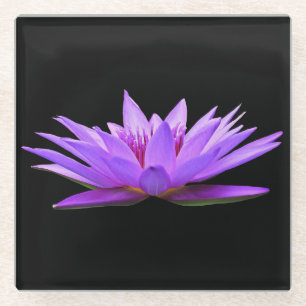 Beautiful Purple Floating Water Lily Glass Coaster