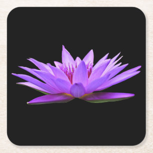 Beautiful Purple Floating Water Lily Square Paper Coaster