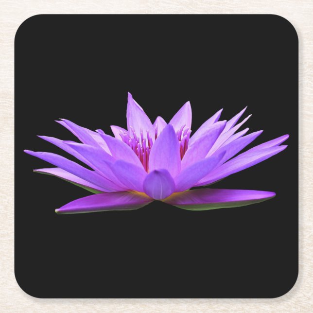 Beautiful Purple Floating Water Lily Square Paper Coaster (Front)