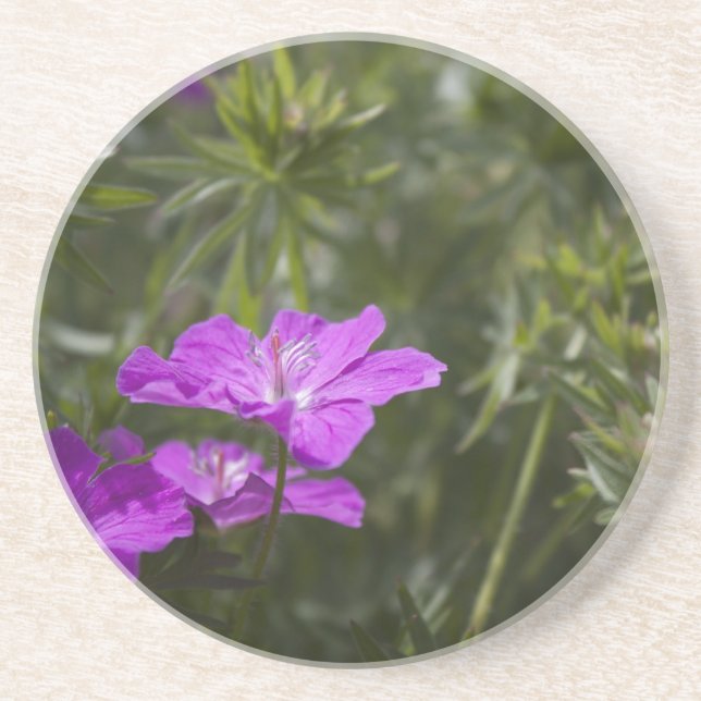 Beautiful purple garden flowers coaster (Front)