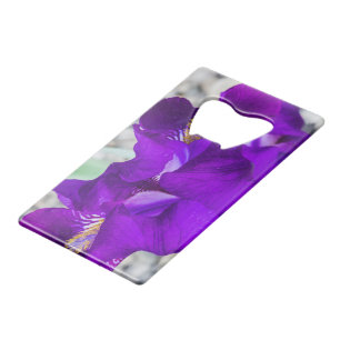 Beautiful purple iris