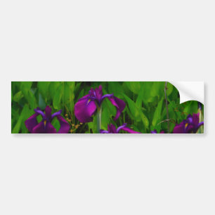 Beautiful Purple Iris Bumper Sticker