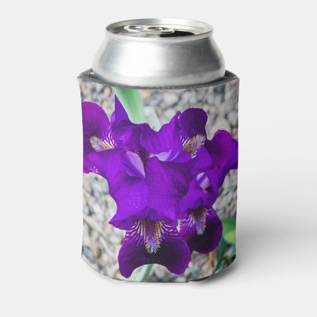 Beautiful purple iris can cooler (Can Back)