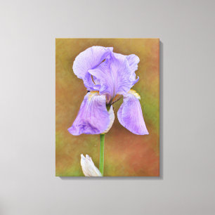 Beautiful Purple Iris Flower Art Canvas Print