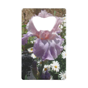 Beautiful Purple Iris Flower floral Photo