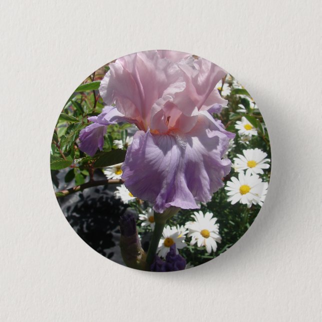 Beautiful Purple Iris Flower floral Photo 6 Cm Round Badge (Front)