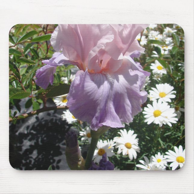 Beautiful Purple Iris Flower floral Photo Mouse Mat (Front)