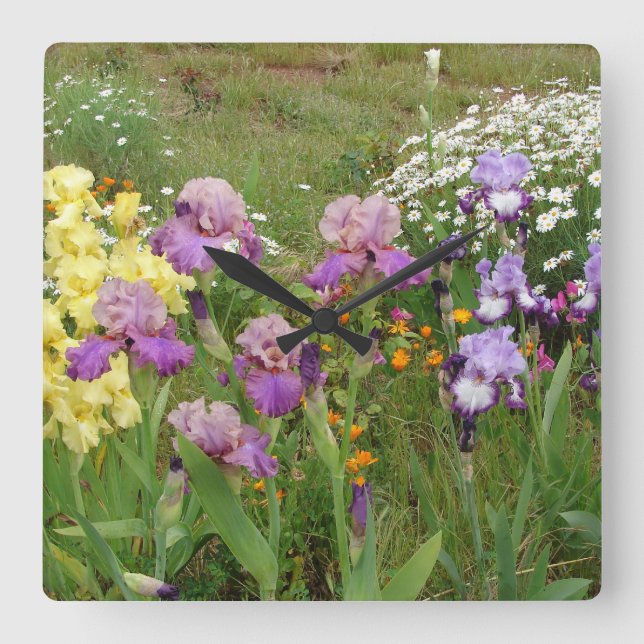 Beautiful Purple Iris Flower floral Photo Square Wall Clock (Front)