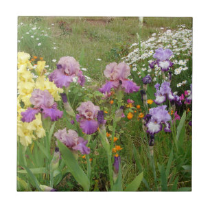 Beautiful Purple Iris Flower floral Photo Tile