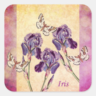Beautiful Purple Iris Flowers and Butterfly Square Sticker