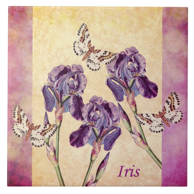 Beautiful Purple Iris Flowers and Butterfly Tile (Front)