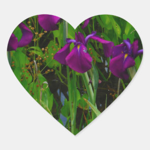 Beautiful Purple Iris Heart Sticker