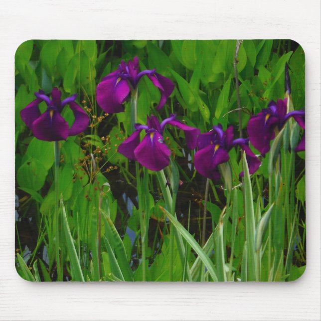 Beautiful Purple Iris Mouse Mat (Front)
